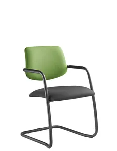 Крісло LD SEATING THEO@ 262-Z-N1 для відвідувачів, на полозах