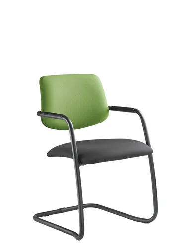 Крісло LD SEATING THEO@ 262-Z-N1 для відвідувачів, на полозах