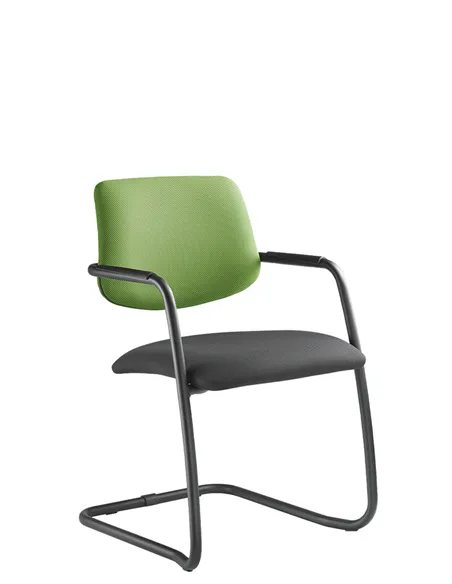 Крісло LD SEATING THEO@ 262-Z-N1 для відвідувачів, на полозах