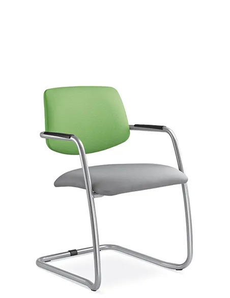 Крісло LD SEATING THEO@ 262-Z-N2 для відвідувачів, на полозах