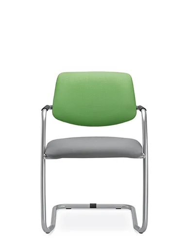Крісло LD SEATING THEO@ 262-Z-N2 для відвідувачів, на полозах