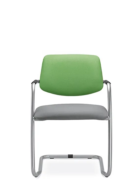 Крісло LD SEATING THEO@ 262-Z-N2 для відвідувачів, на полозах