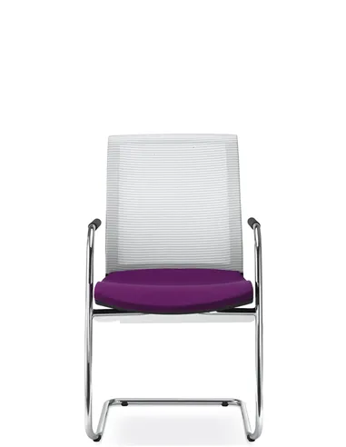 Крісло LD SEATING LYRA NET 203-Z-N4 для відвідувачів, на полозах