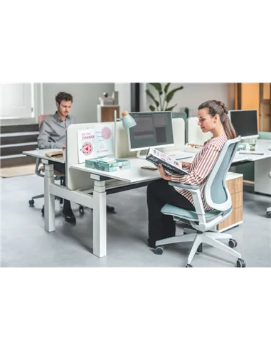 Крісло SEDUS SE:FLEX EF-122 WH ергономічне