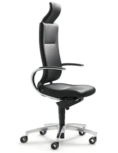 Крісло DAUPHIN INTOUCH IT-5420 ергономічне, шкіряне