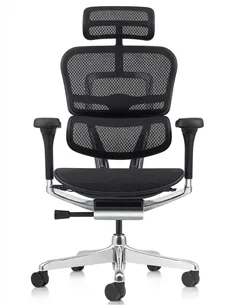 Крісло ERGOHUMAN ELITE 2 (EHE2-AB-HAM-5D-L, сітка T-168-B1 Black), ергономічне 2