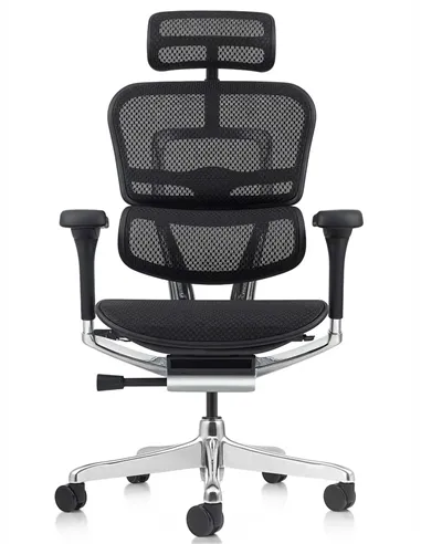 Крісло ERGOHUMAN ELITE 2 (EHE2-AB-HAM-5D-L, сітка T-168-B1 Black), ергономічне