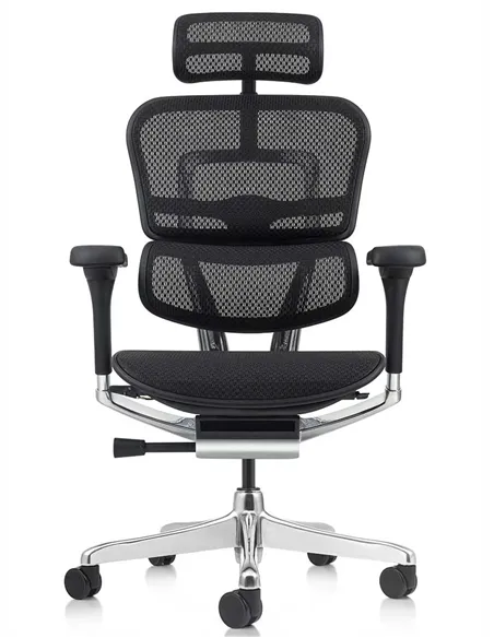 Крісло ERGOHUMAN ELITE 2 (EHE2-AB-HAM-5D-L, сітка T-168-B1 Black), ергономічне