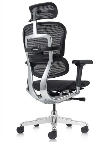 Крісло ERGOHUMAN ELITE 2 (EHE2-AB-HAM-5D-L, сітка T-168-B1 Black), ергономічне