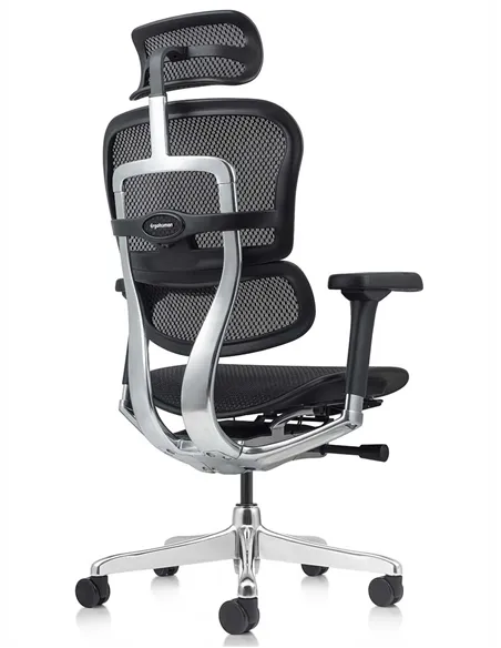 Крісло ERGOHUMAN ELITE 2 (EHE2-AB-HAM-5D-L, сітка T-168-B1 Black), ергономічне