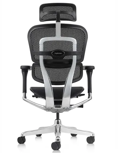 Крісло ERGOHUMAN ELITE 2 (EHE2-AB-HAM-5D-L, сітка T-168-B1 Black), ергономічне