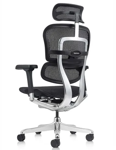 Крісло ERGOHUMAN ELITE 2 (EHE2-AB-HAM-5D-L, сітка T-168-B1 Black), ергономічне