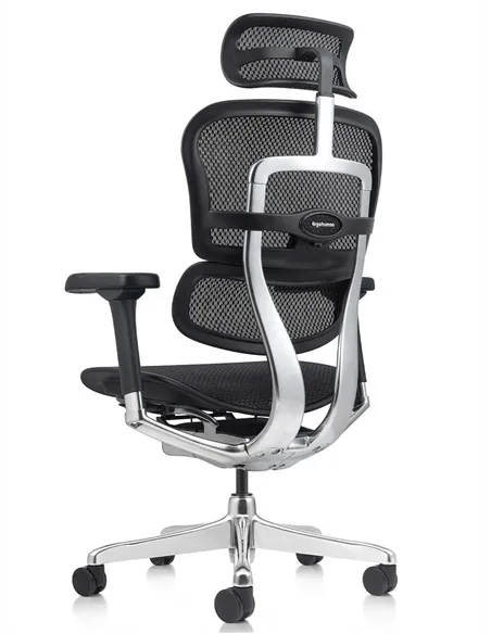 Крісло ERGOHUMAN ELITE 2 (EHE2-AB-HAM-5D-L, сітка T-168-B1 Black), ергономічне