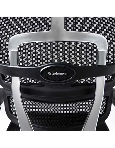 Крісло ERGOHUMAN ELITE 2 (EHE2-AB-HAM-5D-L, сітка T-168-B1 Black), ергономічне