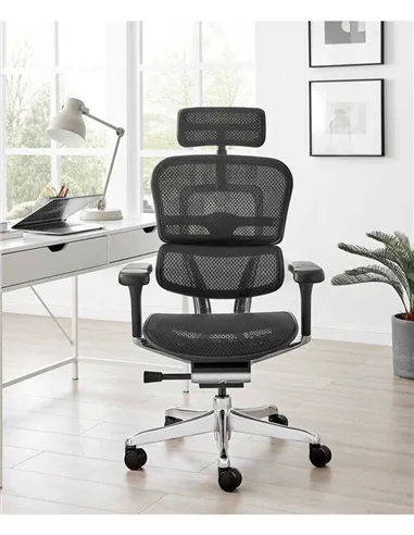 Крісло ERGOHUMAN ELITE 2 (EHE2-AB-HAM-5D-L, сітка T-168-B1 Black), ергономічне