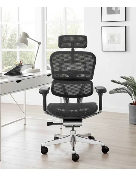 Крісло ERGOHUMAN ELITE 2 (EHE2-AB-HAM-5D-L, сітка T-168-B1 Black), ергономічне