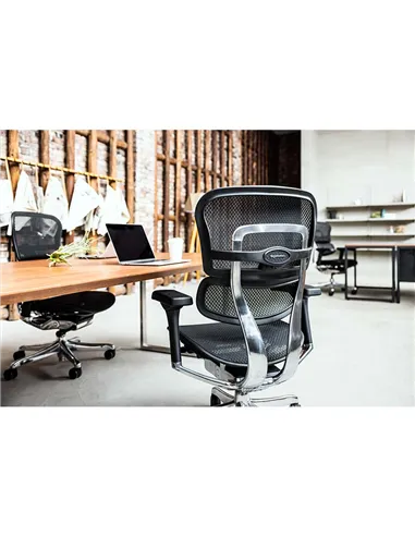 Крісло ERGOHUMAN ELITE 2 (EHE2-AB-HAM-5D-L, сітка T-168-B1 Black), ергономічне