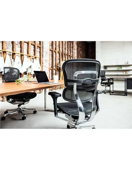 Крісло ERGOHUMAN ELITE 2 (EHE2-AB-HAM-5D-L, сітка T-168-B1 Black), ергономічне