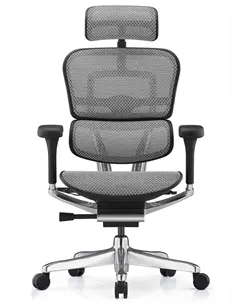 Крісло ERGOHUMAN ELITE 2 (EHE2-AB-HAM-5D-L, сітка T-168-B2 Natural), ергономічне 2