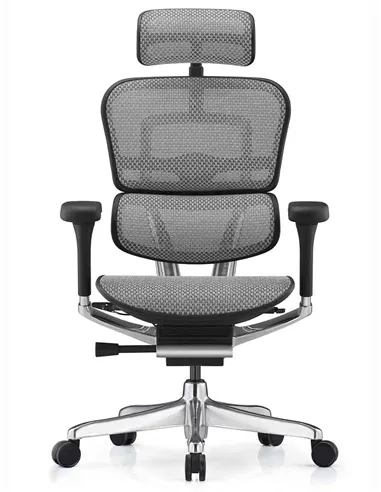 Крісло ERGOHUMAN ELITE 2 (EHE2-AB-HAM-5D-L, сітка T-168-B2 Natural), ергономічне