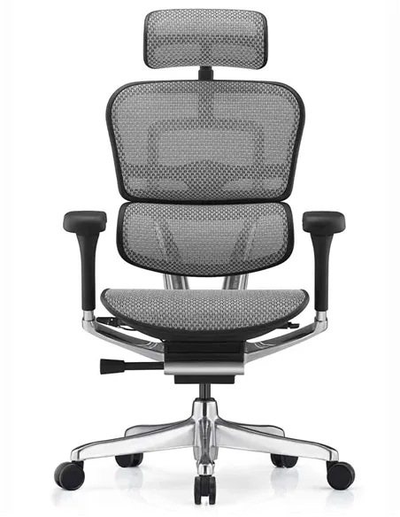 Крісло ERGOHUMAN ELITE 2 (EHE2-AB-HAM-5D-L, сітка T-168-B2 Natural), ергономічне
