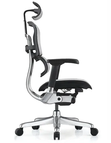 Крісло ERGOHUMAN ELITE 2 (EHE2-AB-HAM-5D-L, сітка T-168-B2 Natural), ергономічне