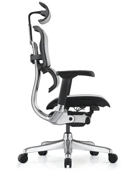 Крісло ERGOHUMAN ELITE 2 (EHE2-AB-HAM-5D-L, сітка T-168-B2 Natural), ергономічне