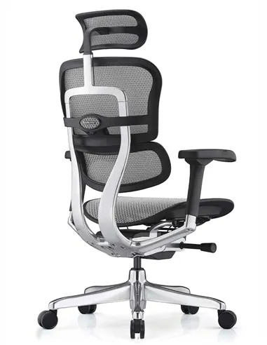 Крісло ERGOHUMAN ELITE 2 (EHE2-AB-HAM-5D-L, сітка T-168-B2 Natural), ергономічне