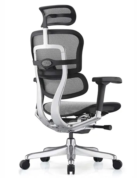 Крісло ERGOHUMAN ELITE 2 (EHE2-AB-HAM-5D-L, сітка T-168-B2 Natural), ергономічне