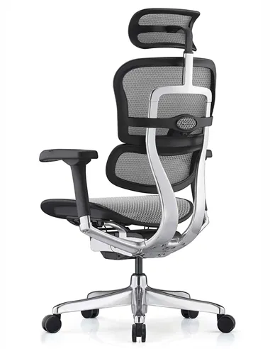 Крісло ERGOHUMAN ELITE 2 (EHE2-AB-HAM-5D-L, сітка T-168-B2 Natural), ергономічне