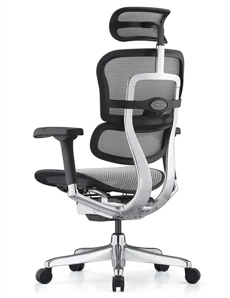 Крісло ERGOHUMAN ELITE 2 (EHE2-AB-HAM-5D-L, сітка T-168-B2 Natural), ергономічне