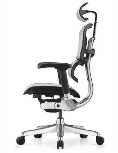 Крісло ERGOHUMAN ELITE 2 (EHE2-AB-HAM-5D-L, сітка T-168-B2 Natural), ергономічне