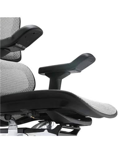 Крісло ERGOHUMAN ELITE 2 (EHE2-AB-HAM-5D-L, сітка T-168-B2 Natural), ергономічне