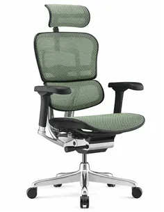 Крісло ERGOHUMAN ELITE 2 (EHE2-AB-HAM-5D-L, сітка T-168-B6 Green), ергономічне