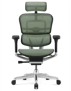 Крісло ERGOHUMAN ELITE 2 (EHE2-AB-HAM-5D-L, сітка T-168-B6 Green), ергономічне 2