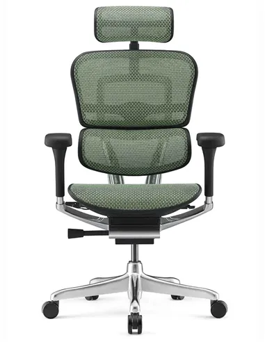 Крісло ERGOHUMAN ELITE 2 (EHE2-AB-HAM-5D-L, сітка T-168-B6 Green), ергономічне