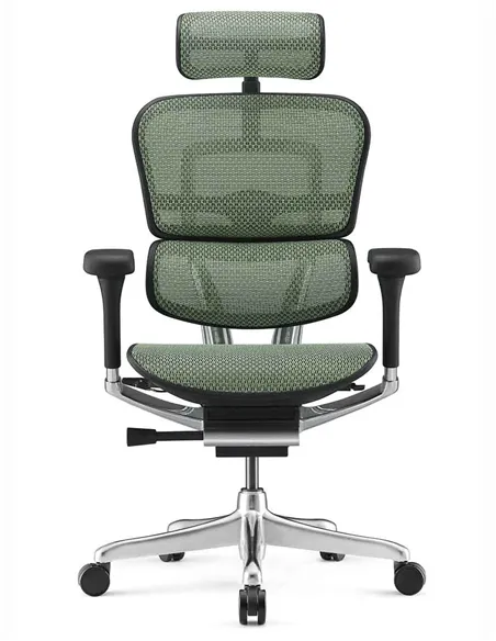 Крісло ERGOHUMAN ELITE 2 (EHE2-AB-HAM-5D-L, сітка T-168-B6 Green), ергономічне