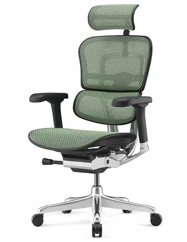 Крісло ERGOHUMAN ELITE 2 (EHE2-AB-HAM-5D-L, сітка T-168-B6 Green), ергономічне