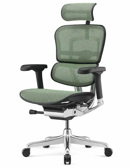 Крісло ERGOHUMAN ELITE 2 (EHE2-AB-HAM-5D-L, сітка T-168-B6 Green), ергономічне