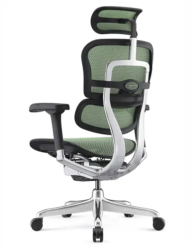 Крісло ERGOHUMAN ELITE 2 (EHE2-AB-HAM-5D-L, сітка T-168-B6 Green), ергономічне