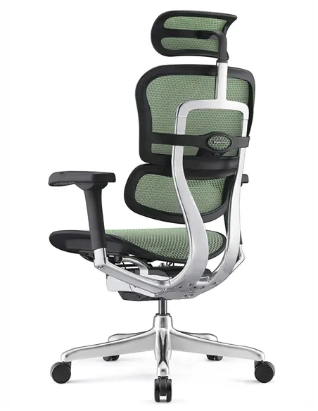 Крісло ERGOHUMAN ELITE 2 (EHE2-AB-HAM-5D-L, сітка T-168-B6 Green), ергономічне