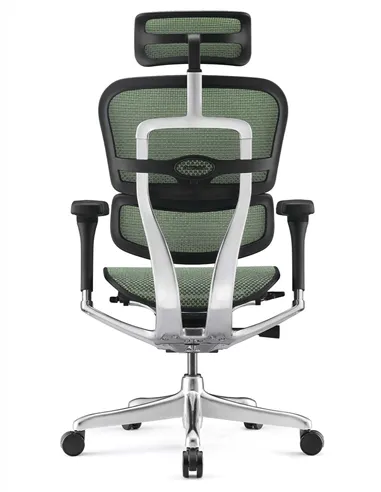 Крісло ERGOHUMAN ELITE 2 (EHE2-AB-HAM-5D-L, сітка T-168-B6 Green), ергономічне