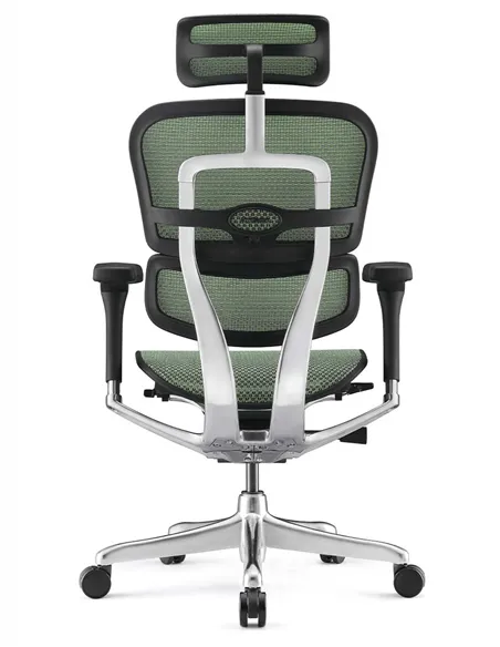Крісло ERGOHUMAN ELITE 2 (EHE2-AB-HAM-5D-L, сітка T-168-B6 Green), ергономічне