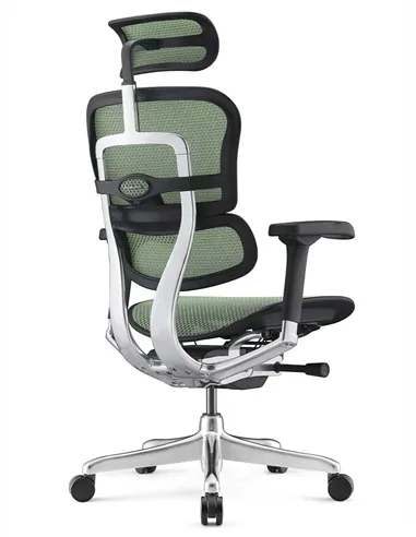 Крісло ERGOHUMAN ELITE 2 (EHE2-AB-HAM-5D-L, сітка T-168-B6 Green), ергономічне