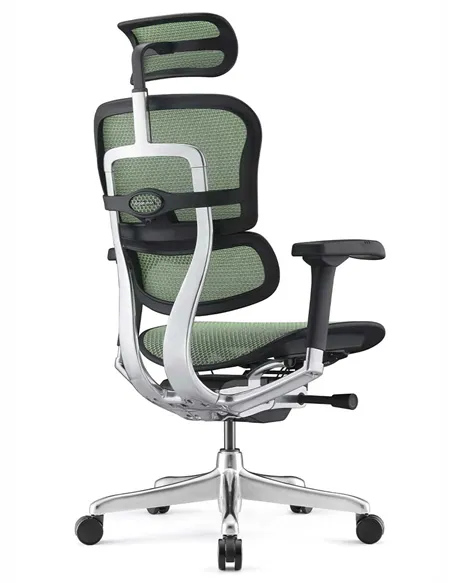 Крісло ERGOHUMAN ELITE 2 (EHE2-AB-HAM-5D-L, сітка T-168-B6 Green), ергономічне