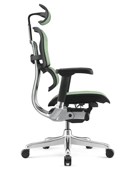 Крісло ERGOHUMAN ELITE 2 (EHE2-AB-HAM-5D-L, сітка T-168-B6 Green), ергономічне