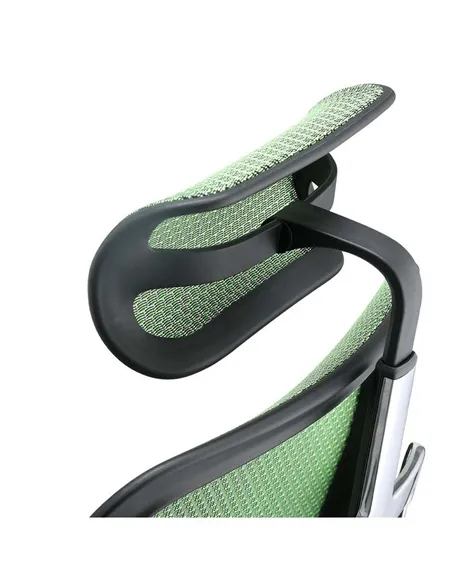 Крісло ERGOHUMAN ELITE 2 (EHE2-AB-HAM-5D-L, сітка T-168-B6 Green), ергономічне