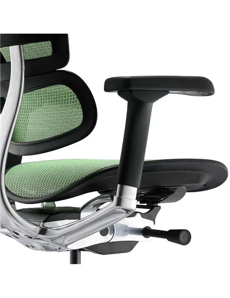 Крісло ERGOHUMAN ELITE 2 (EHE2-AB-HAM-5D-L, сітка T-168-B6 Green), ергономічне