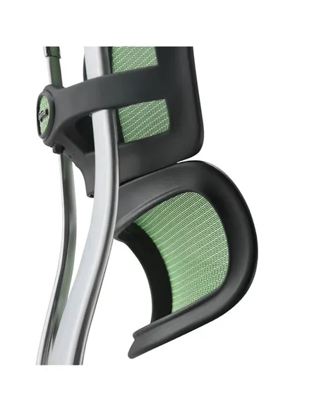 Крісло ERGOHUMAN ELITE 2 (EHE2-AB-HAM-5D-L, сітка T-168-B6 Green), ергономічне