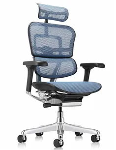 Крісло ERGOHUMAN ELITE 2 (EHE2-AB-HAM-5D-L, сітка T-168-B4 Cobalt), ергономічне